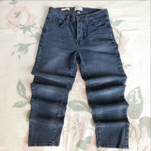 UNIVERSAL THREAD Size 6 Dark Wash Mid Rise 80's Slim Blue Button Fly Jeans